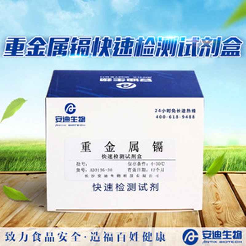 数据安全服务，护航企业信息安全之旅